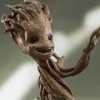 IamGroot